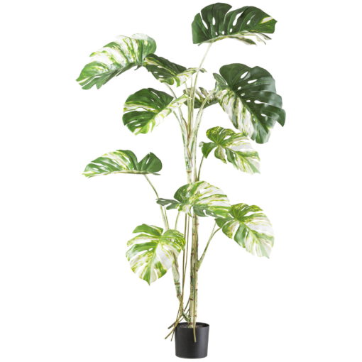 Kunstpflanze Monstera deliciosa variegata, Höhe ca. 160 cm